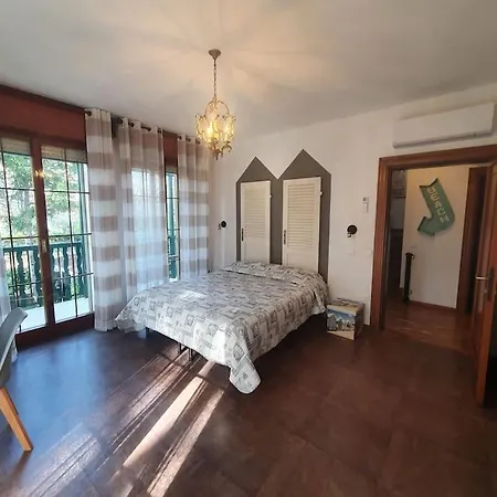 فيلة D'amare